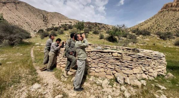 پنج متخلف زنده‌گیری پرندگان شکاری در دیلم دستگیر شدند