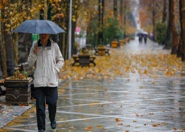 بوشهر بارانی می‌شود