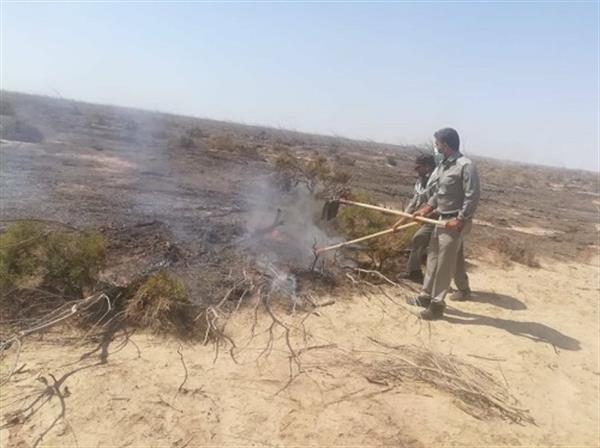 آتش‌سوزی دره فصلی روستای چاه‌شور گناوه مهار شد