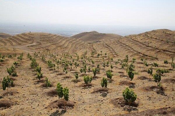 طرح‌های حفاظت از خاک در استان بوشهر اجرا می‌شود