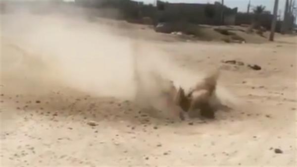 جوشیدن خاک در بوشهر واقعی است؟