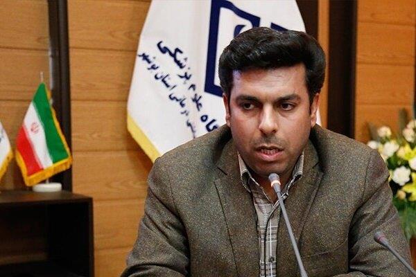 دانشگاه‌های استان بوشهر روند موفقی را سپری می‌کنند